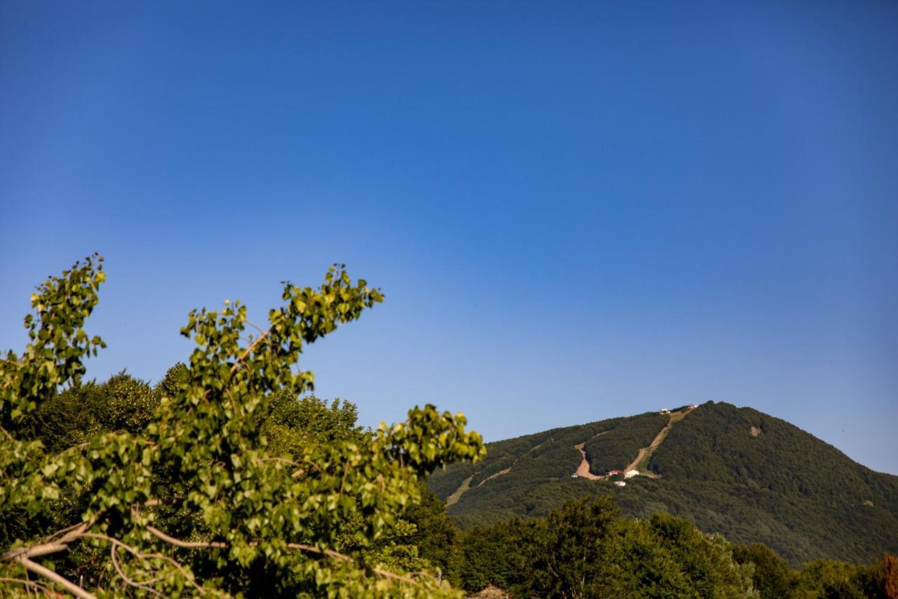 Tasia Mountain Hotel Chania  Zewnętrze zdjęcie